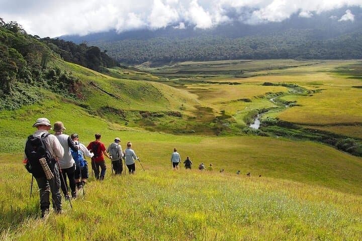 Kokoda Trail 8-Day History Trek — Australian-Led Kokoda Track Expedition photo 2