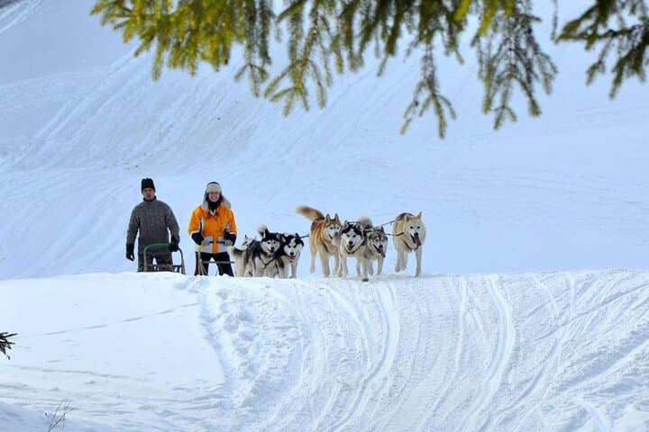 Dog Sledding in the Tatra Mountains: Full-Day Husky Sled Ride from Kraków photo 2