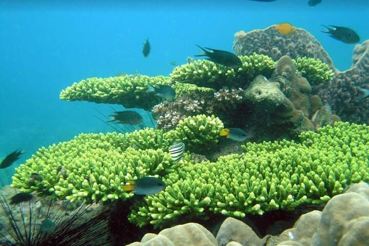 Phu Quoc Half-Day Snorkeling Trip from An Thoi: Top Islands, What to Expect & Tips