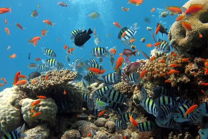 Phu Quoc Half-Day Snorkeling Trip from An Thoi: Top Islands, What to Expect & Tips photo 6