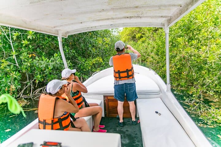 Bacalar Lagoon Boat Tour: Cenotes, Stromatolites & Pirate Channel photo 6