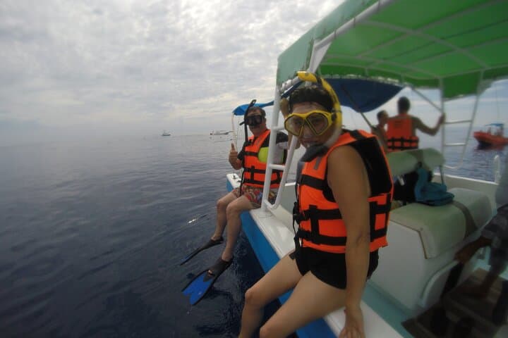 Whale Shark Snorkel from Puerto Morelos: Full-Day Tour with Lunch photo 4