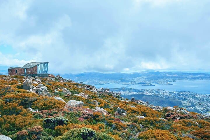 Hobart Wanderer: Mt Wellington, Richmond & Bonorong Day Shore Excursion