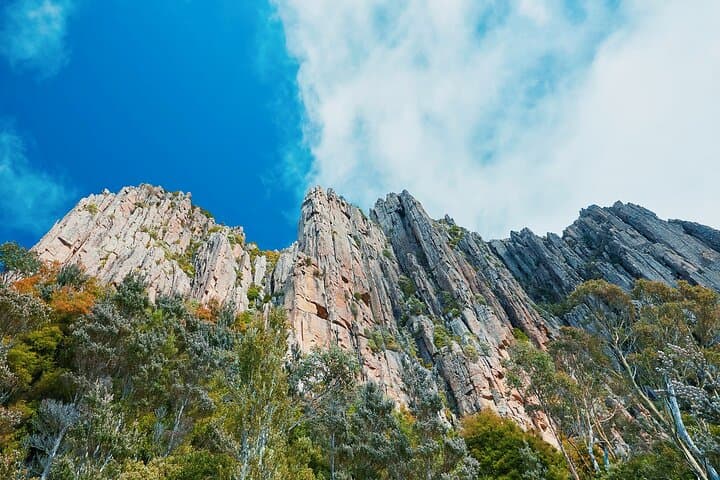 Hobart Wanderer: Mt Wellington, Richmond & Bonorong Day Shore Excursion photo 3