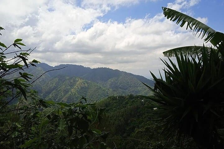Kingston & Blue Mountain Adventure — Full-Day Coffee, Culture & Views photo 4