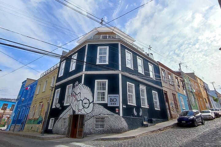 Private Full-Day Valparaíso & Viña del Mar Tour from Santiago — Street Art, Sea Lions & Funiculars photo 4