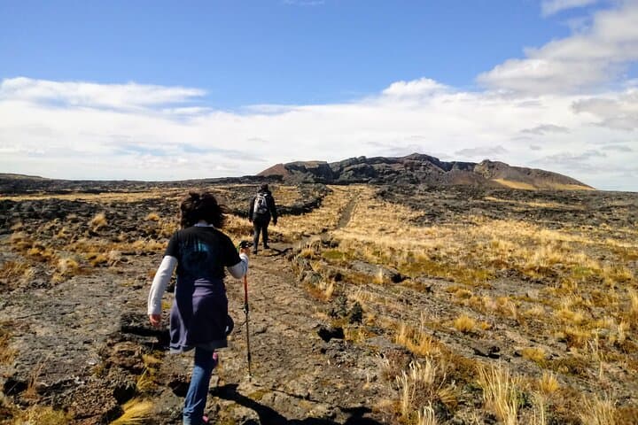 Pali Aike Full-Day Adventure from Punta Arenas — Volcanic Fields, Shipwrecks & Wildlife photo 4