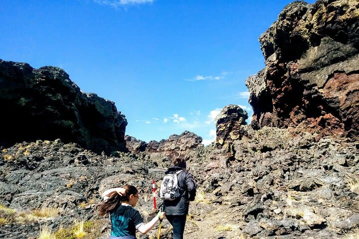 Pali Aike Full-Day Adventure from Punta Arenas — Volcanic Fields, Shipwrecks & Wildlife photo 2