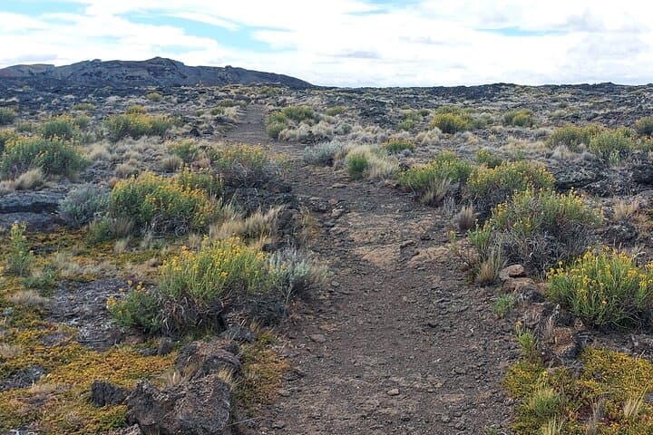 Pali Aike Full-Day Adventure from Punta Arenas — Volcanic Fields, Shipwrecks & Wildlife photo 5