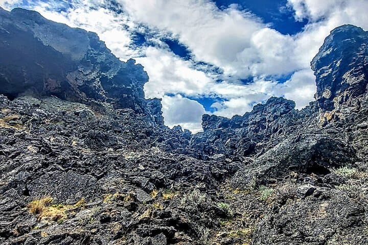 Pali Aike Full-Day Adventure from Punta Arenas — Volcanic Fields, Shipwrecks & Wildlife photo 6