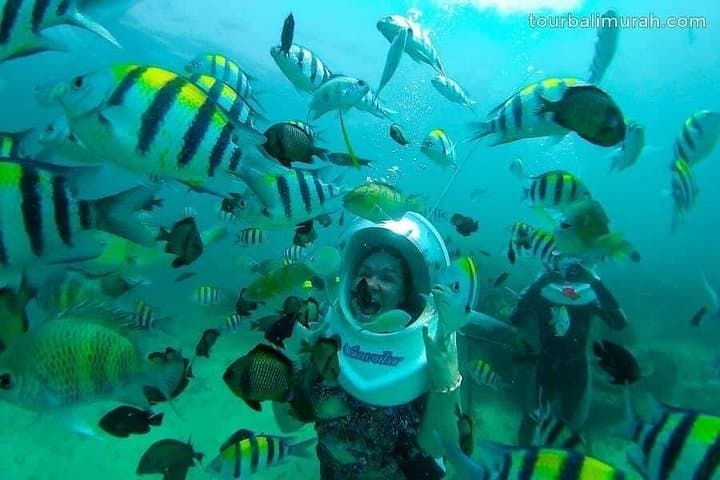 Bali Sea Walker at Tanjung Benoa: Underwater Helmet Walk in Nusa Dua photo 3