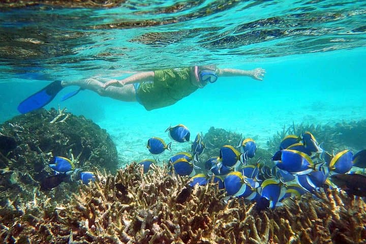 Maafushi Full-Day Snorkeling and Island Hopping in the Maldives photo 2