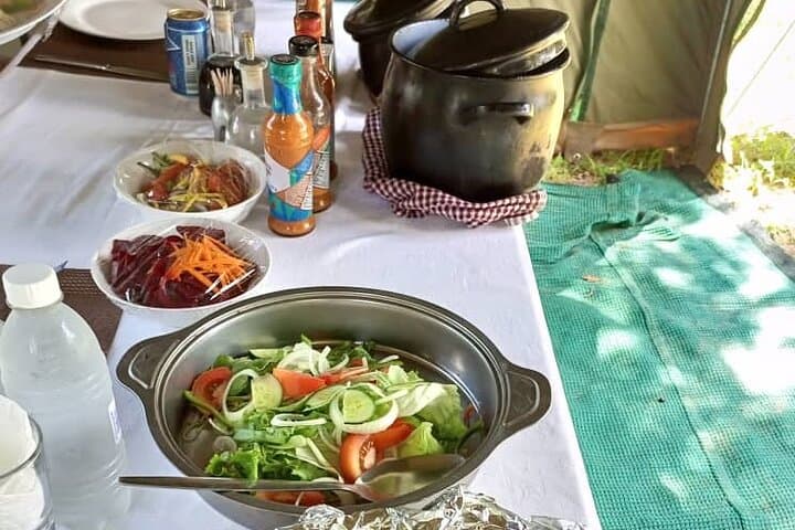 Savuti Mobile Camping Safari: 4-Day Wild Botswana Game-Drive Adventure photo 6