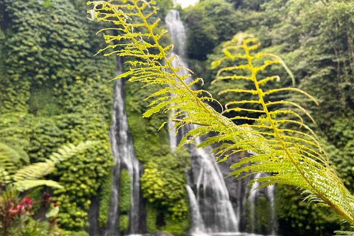 Bali Secret Waterfalls: Banyumala & Leke Leke with Ulun Danu Bratan photo 3