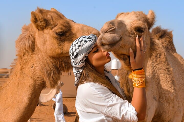 Morning Dubai Desert Safari Private Tour: Red Dune Adventure in Dubai photo 3