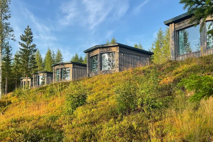 Luxury Bear-Watching Cabin in Finland: Close-Up Wildlife Hides and Wilderness Comfort photo 5