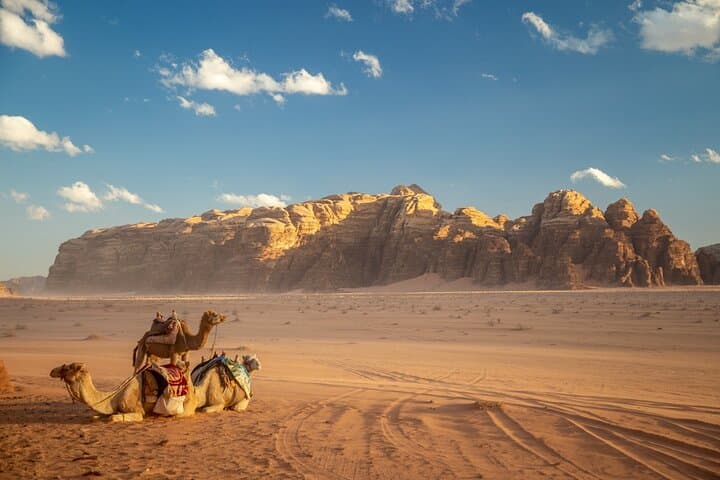Wadi Rum Full-Day Jeep Tour: 4x4 Highlights, Sandboarding & Bedouin Sunset photo 4