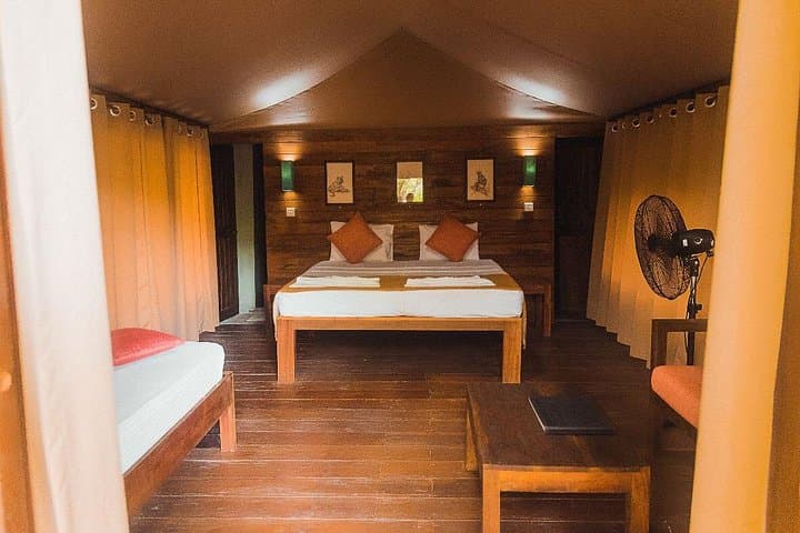 Luxury Safari Camping in Yala: Overnight Wild Safari with Big-Game Drives photo 3