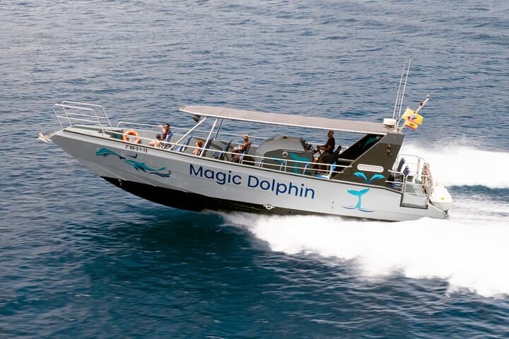 Morro Jable Dolphin & Whale Watching Cruise — 2-Hour Jandía Bay Swim & Drinks photo 2