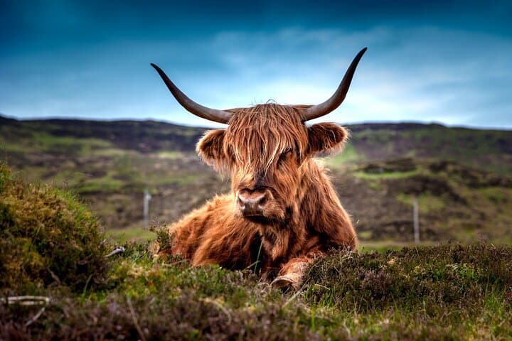 3-Day Private Highlands Tour: Edinburgh to Loch Ness, St Andrews & Balmoral photo 2