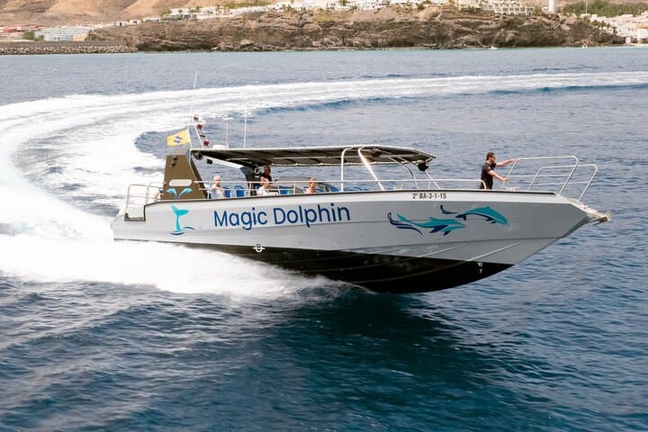 Morro Jable Dolphin & Whale Watching Cruise — 2-Hour Jandía Bay Swim & Drinks photo 4