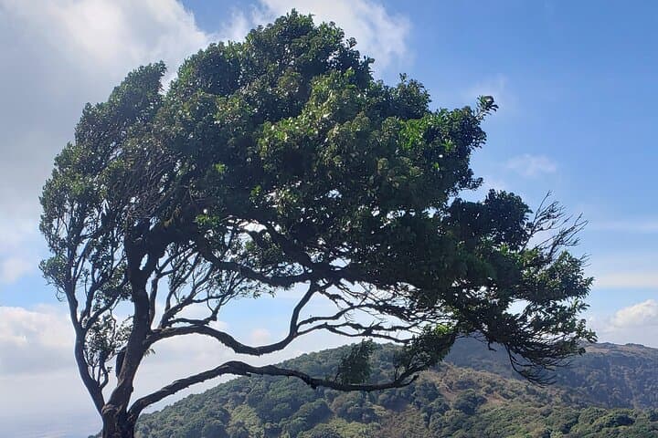 Ngong Hills Half-Day Hike: Ridgewalks, Windmills and Rift Valley Views from Nairobi photo 3
