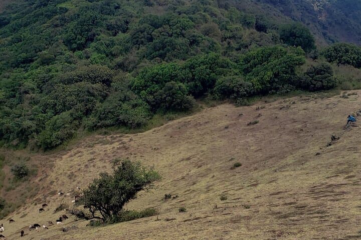 Ngong Hills Half-Day Hike: Ridgewalks, Windmills and Rift Valley Views from Nairobi photo 5
