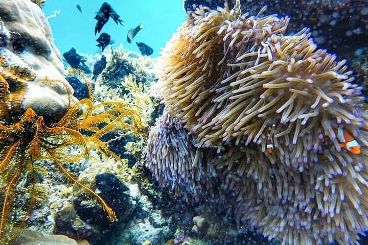 Port Barton Island Hopping: Day Trip from Puerto Princesa to Palawan’s Quiet Beaches