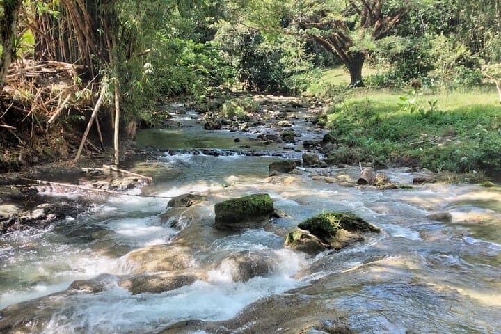 Benta River Falls Private Tour: Jamaican Countryside Waterfall and Blue Hole Adventure photo 2