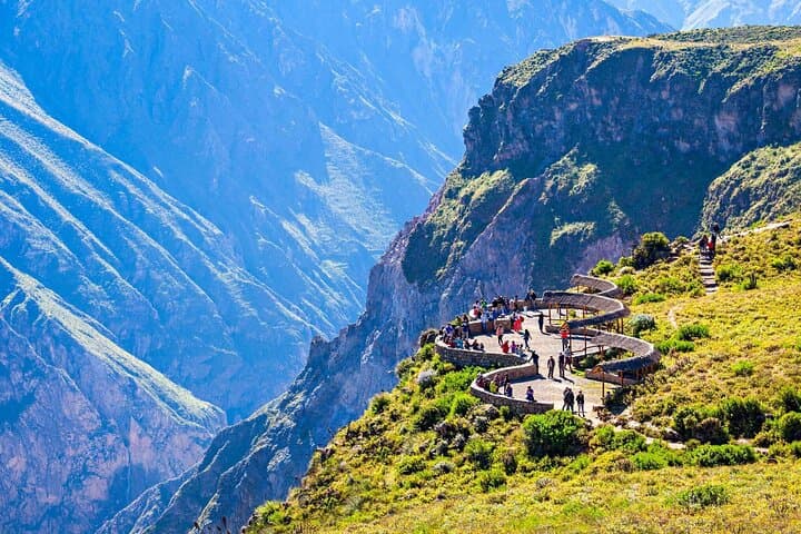 Colca Full Day Tour: Cruz del Cóndor, Vicuñas & High-Altitude Viewpoints