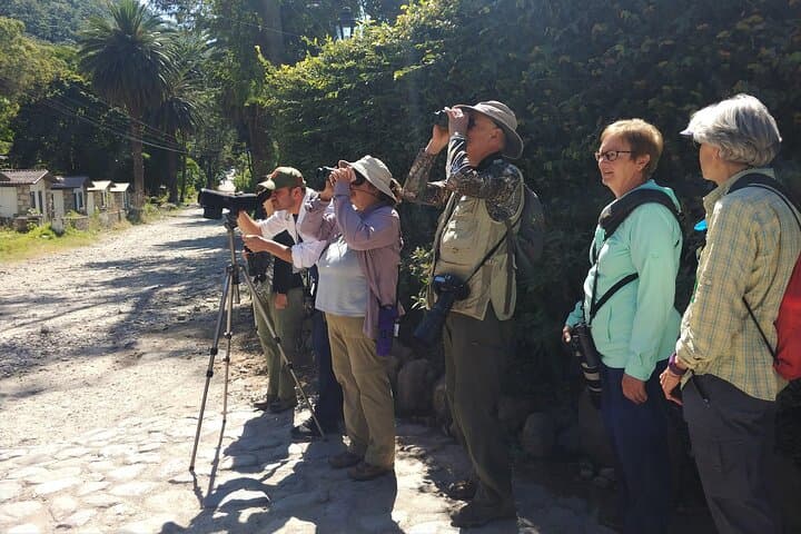 Birdwatching at San Juan La Laguna: 5-Hour Private Guided Tour on Lake Atitlán