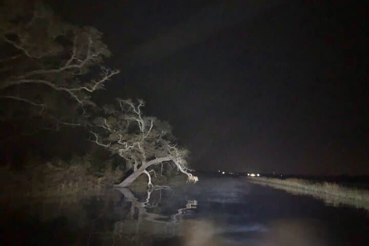 Haunted Bayou Cruise: Ghost Stories and Gators on Bayou Caddy photo 6