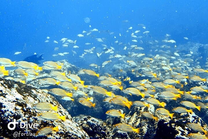 Snorkel Santa Fe Island & Playa Escondida — Galápagos Day Trip photo 2