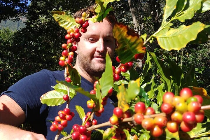 Coffee Walk Tour in San Juan La Laguna — Bean-to-Cup on Lake Atitlán