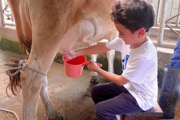 Finca El Paraiso: Hands-On Farm Cheese Tour Near Monteverde photo 3