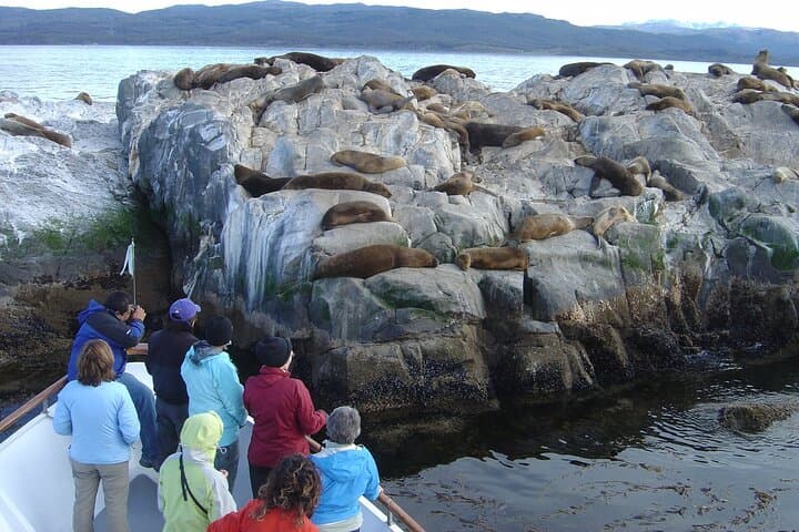 Beagle Channel Catamaran Cruise to Isla Martillo Penguins photo 6
