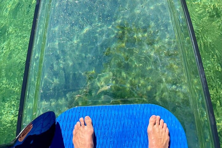 Weeki Wachee Clear Paddle Board Ecotours: Manatee SUP Tours on Florida's Spring-Fed River
