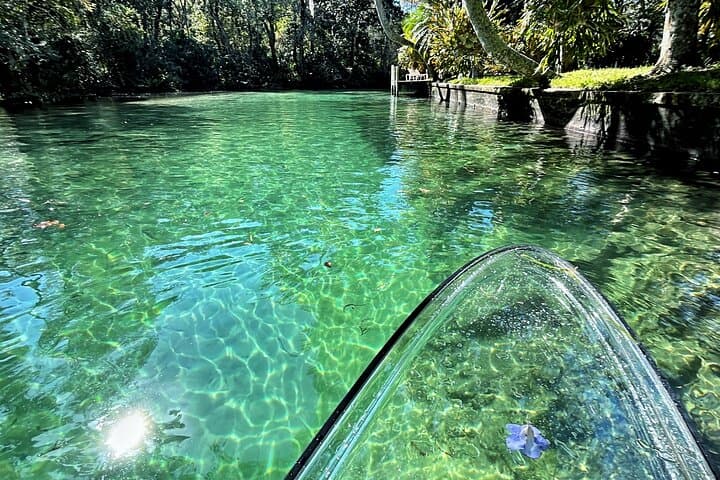 Weeki Wachee Clear Paddle Board Ecotours: Manatee SUP Tours on Florida's Spring-Fed River photo 6