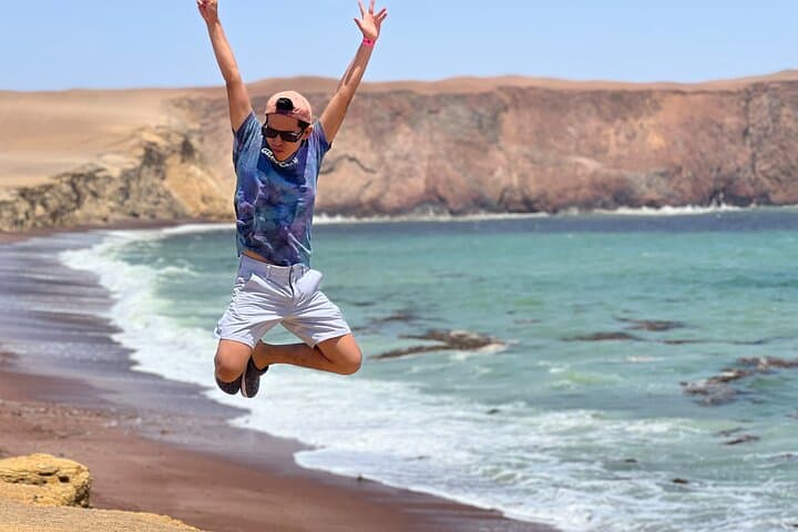 Paracas & Ballestas Islands Day Tour: Ballestas Islands, Paracas Reserve and the Candelabro photo 2