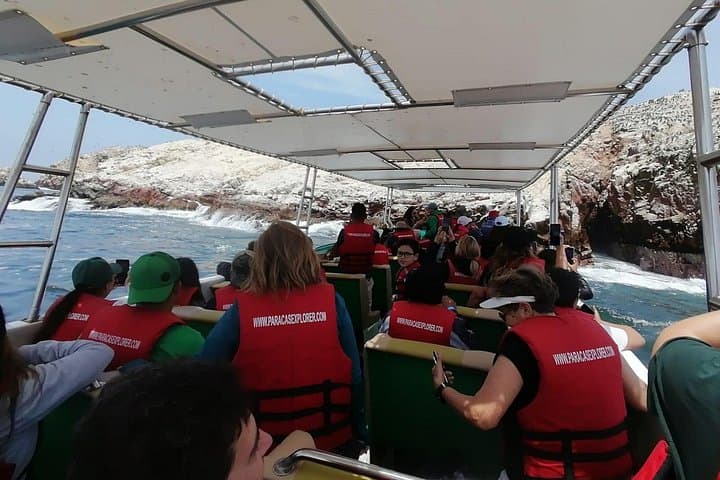 Paracas Ballestas Islands and Huacachina Dune Buggy & Sandboarding Day Trip from Lima photo 4