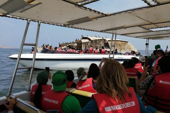 Paracas Ballestas Islands and Huacachina Dune Buggy & Sandboarding Day Trip from Lima photo 1