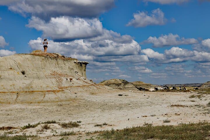 Chasing Horses: Theodore Roosevelt National Park Wildlife Photography Experience