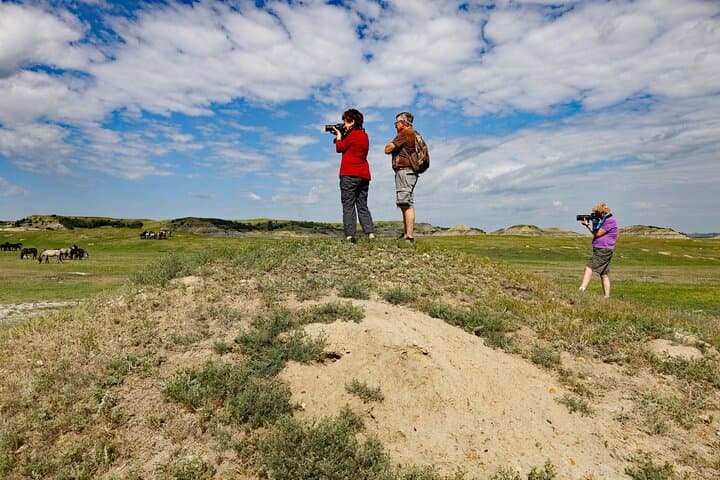 Chasing Horses: Theodore Roosevelt National Park Wildlife Photography Experience photo 4