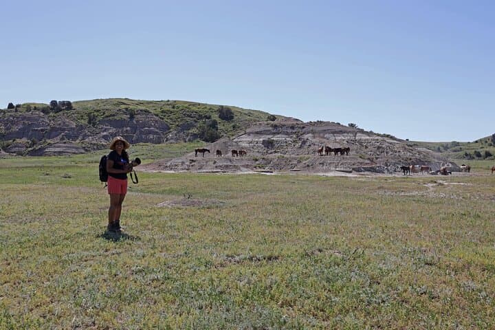Chasing Horses: Theodore Roosevelt National Park Wildlife Photography Experience photo 5
