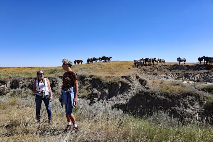 Chasing Horses: Theodore Roosevelt National Park Wildlife Photography Experience photo 6