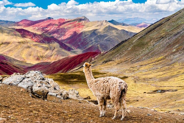 Palccoyo Rainbow Mountain Full-Day Guided Tour from Cusco