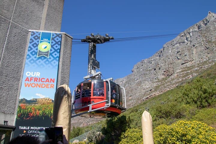 Full-Day Private Tour: Table Mountain, Boulders Penguins & Cape Point from Cape Town