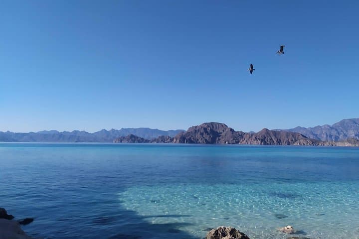 Exploring the Islands of Loreto: Danzante & Carmen Private Boat Tour photo 4