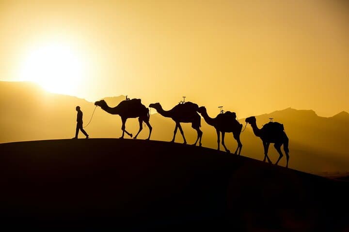 Sunset Camel Trek & Barbecue in Souss Massa from Agadir photo 3