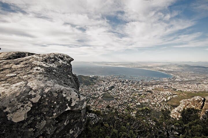 Cape Town Day Tour: Table Mountain, Cape Point & Boulders Penguin Colony (Private) photo 6